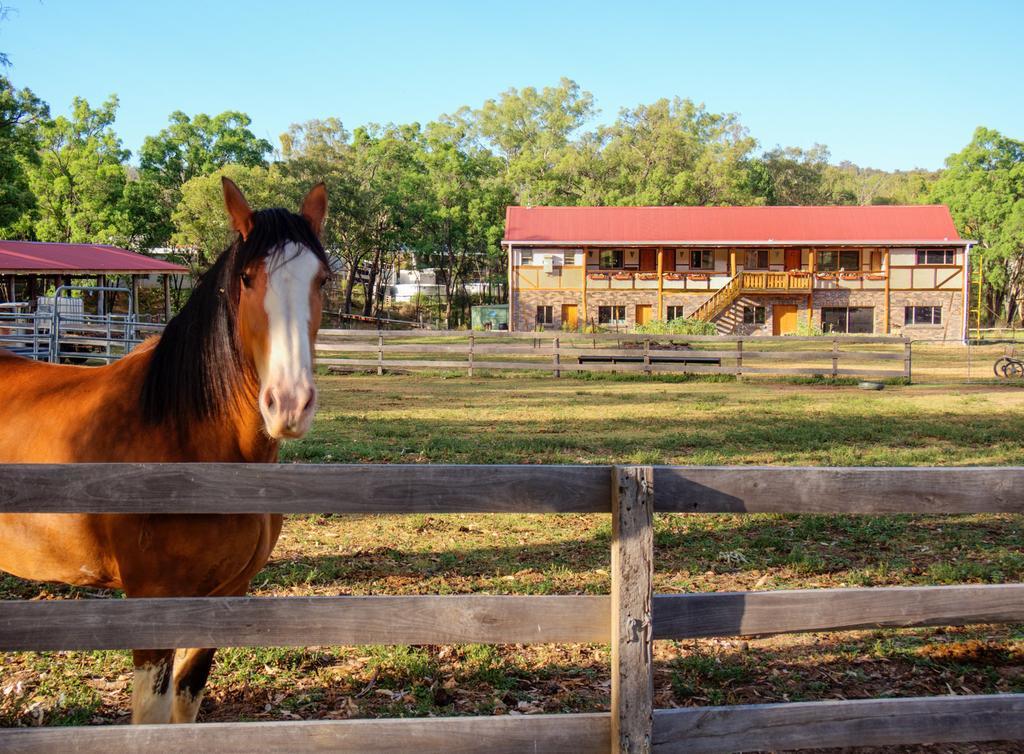 Pilliga Pottery Creative Farmstay Coonabarabran Kamer foto